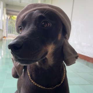 hoangthien039