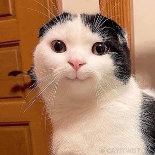 ttko_04