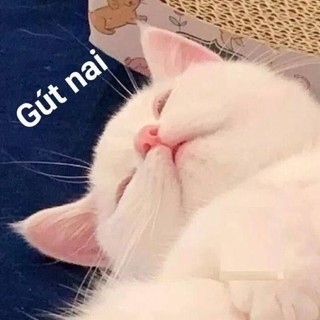 gjfsrudyhsukvgiksda
