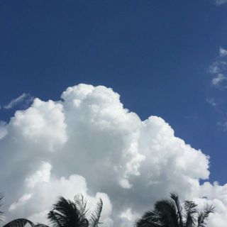 baochaudieptang
