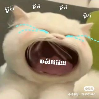 nhnguynqunh194