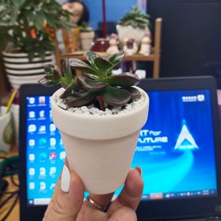 van_anh2212