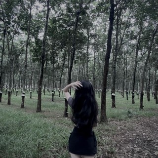 _punnie902