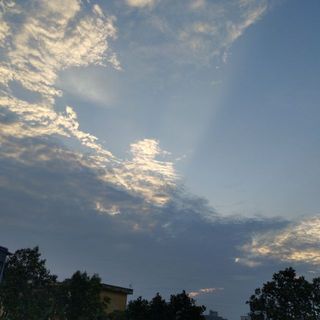 w_0nfx68vd