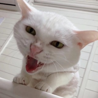 meoconlunar