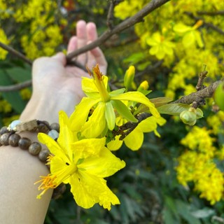 nguyenthuhien_0205