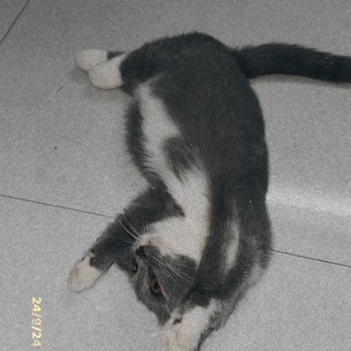 nguyenthihien.2
