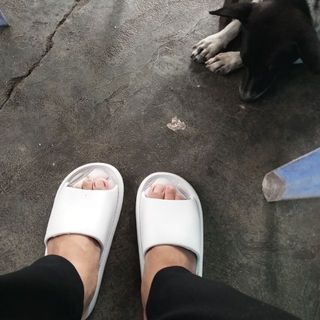 haohao_1747