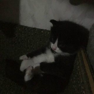 binhhdiem