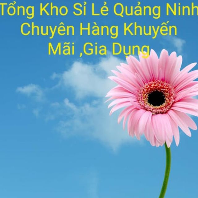 Tổng Kho Sỉ Lẻ Quảng Ninh