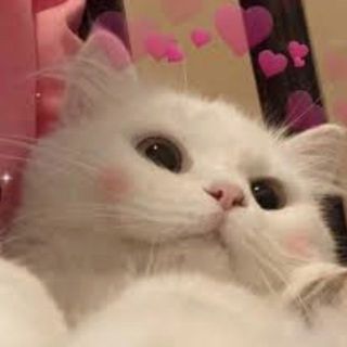 thuyanlenguyen179
