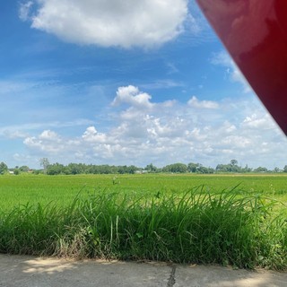 haikhong0111