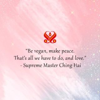 khanh_bvegan_makepeace