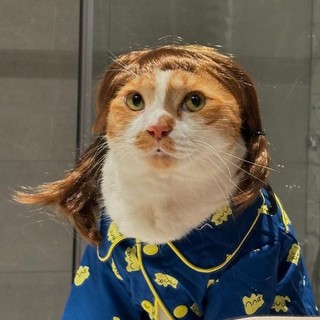 _hng19