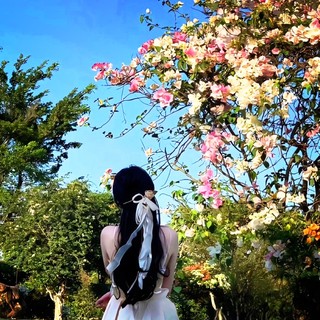 dannhiphong_90