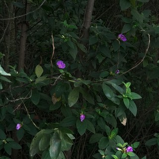 uynthuc.nguyentran