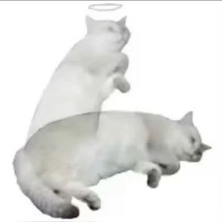 muitbnu