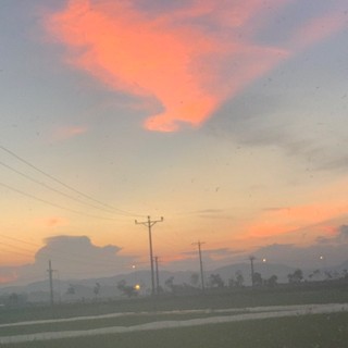 tthtran04