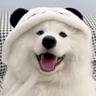 tran_nekk