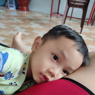hanlethingoc340
