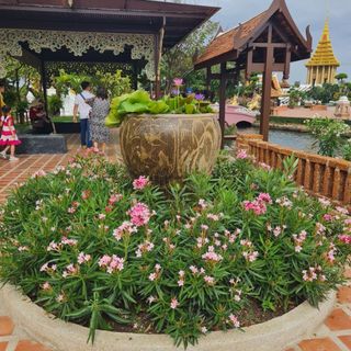 tinadang163