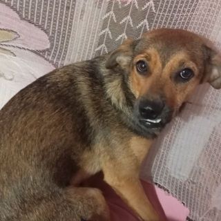 tranthianhthucute