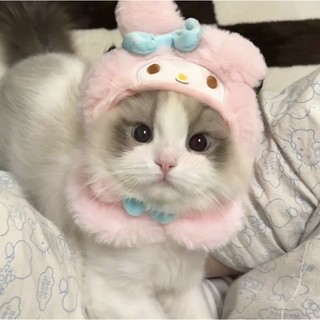 hoanggson15