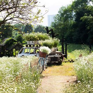 _vy200816