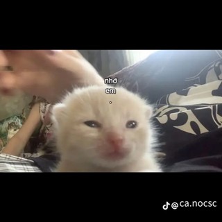 minhthangls321