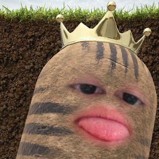 tuben11
