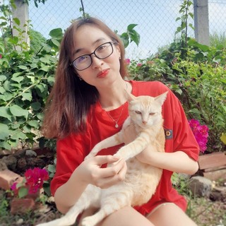 dauxinh56