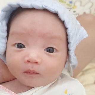 amthucdantooc_sachi