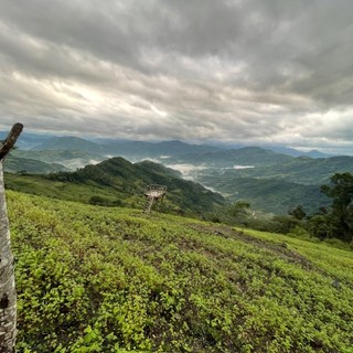 maiihoanqq_07
