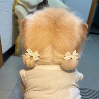 nguyenmyduyen_012345