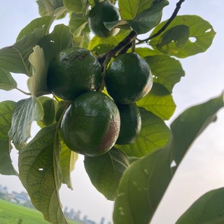 mun_xinh93