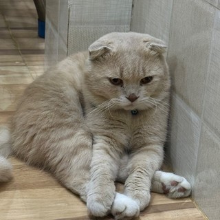 kieutrinh0911