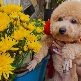 ngoc.hoan_797