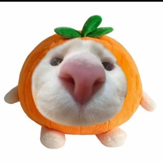 mynamehebi