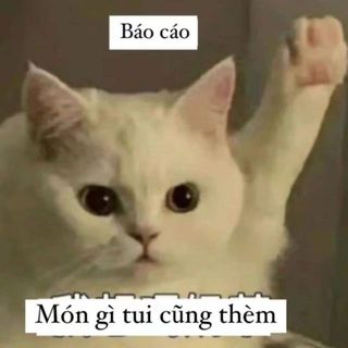 suny_ooo