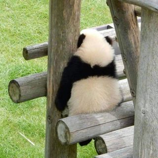 hoangnga.oa_oa