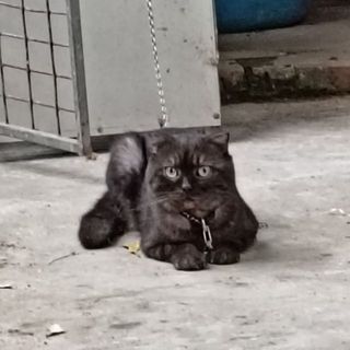 phunuwu2007