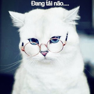 ngocngan88