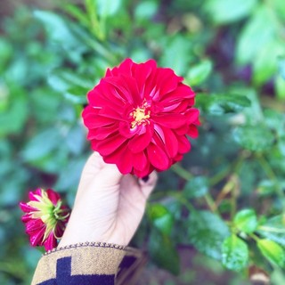 thuylinh_yb