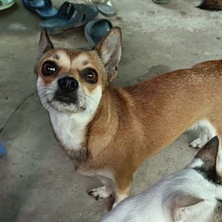 th_duong2107