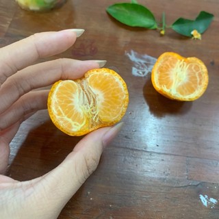 mynhung_1210
