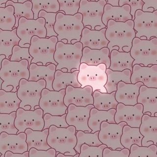 trinhtrn026