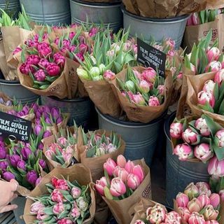nthuy_3057