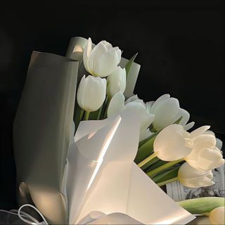 _hgiang2218_