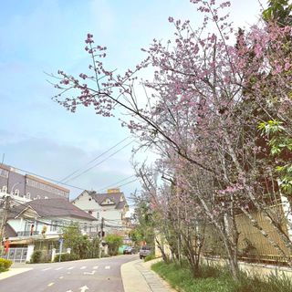 fanmizuhoshi