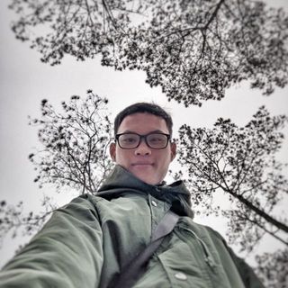 harleynguyenphan